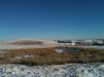 IMG_0059