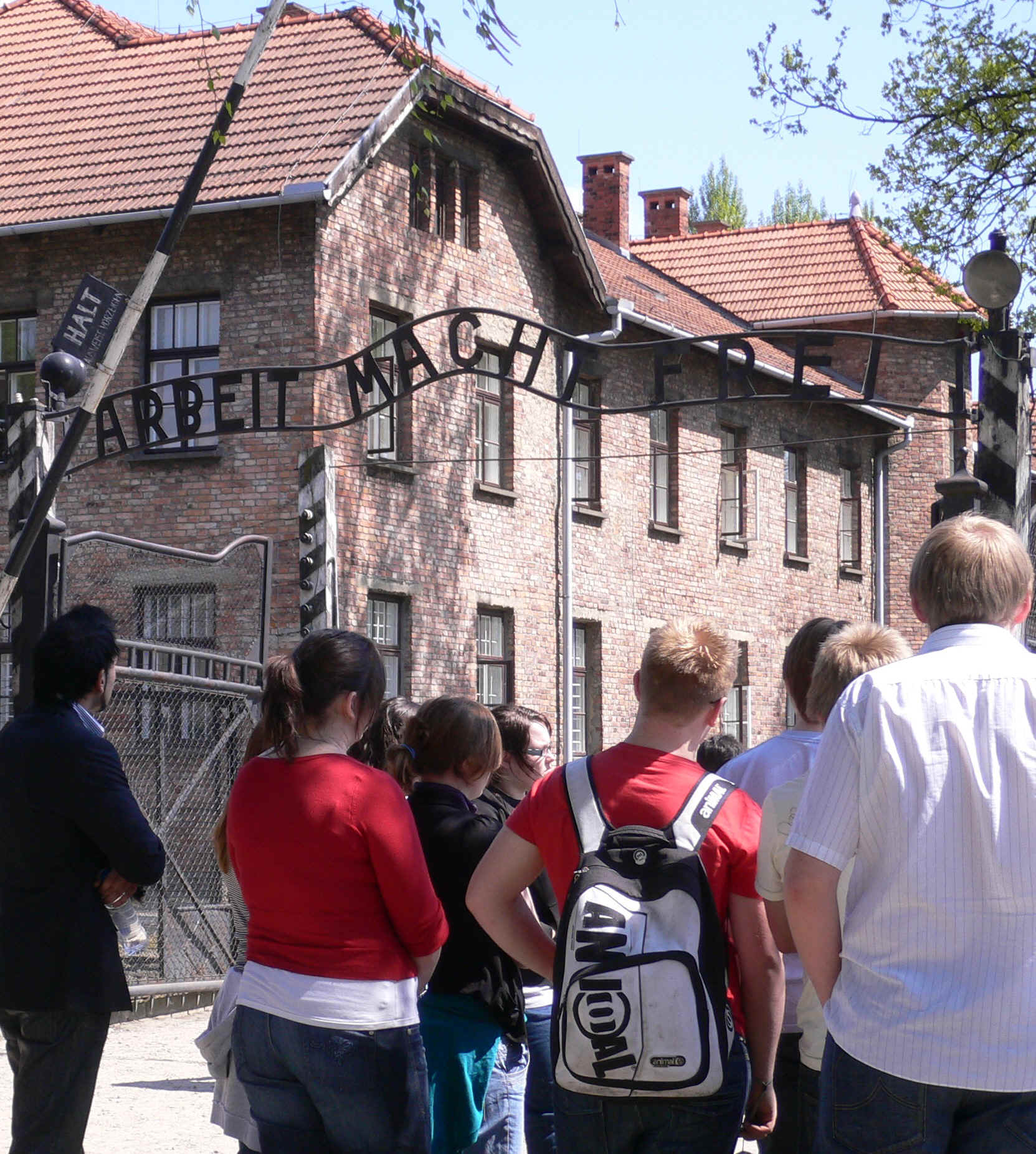 P1010234.JPG (1843371 bytes)